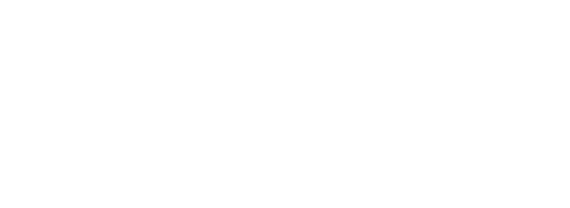 MULTI STICK BLENDER 2