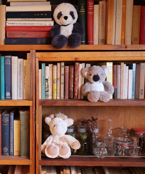 BTT WWF KOALA 23cm コアラの通販 | BRUNO online
