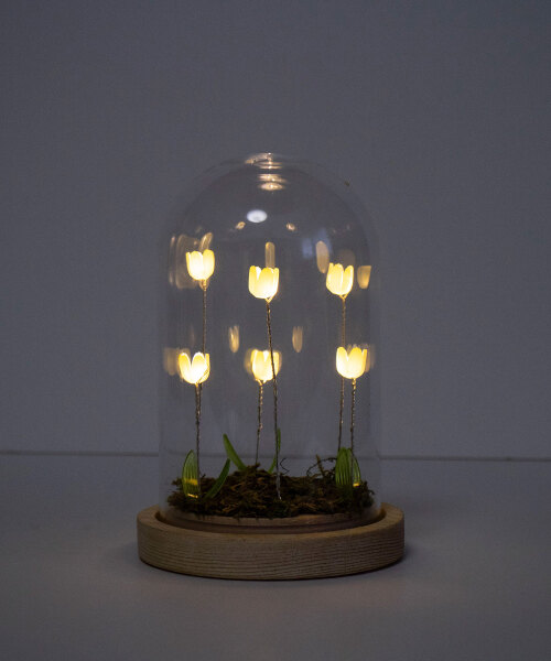 LUMO チューリップガラスドーム イエローの通販 | BRUNO online