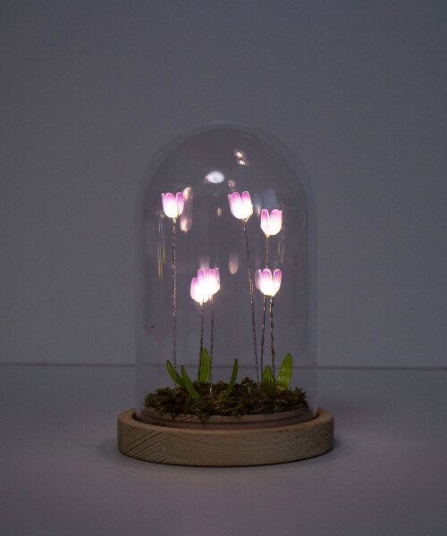 LUMO チューリップガラスドーム イエローの通販 | BRUNO online