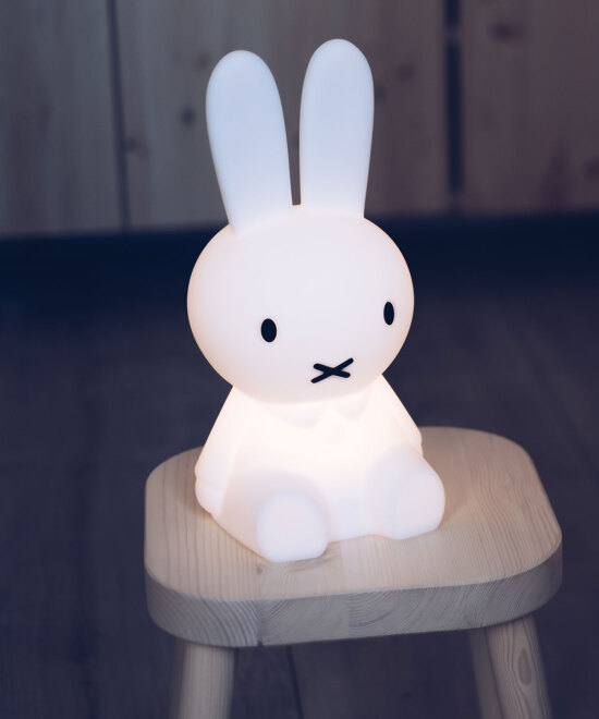 FIRST LIGHT MIFFY AND FRIENDS